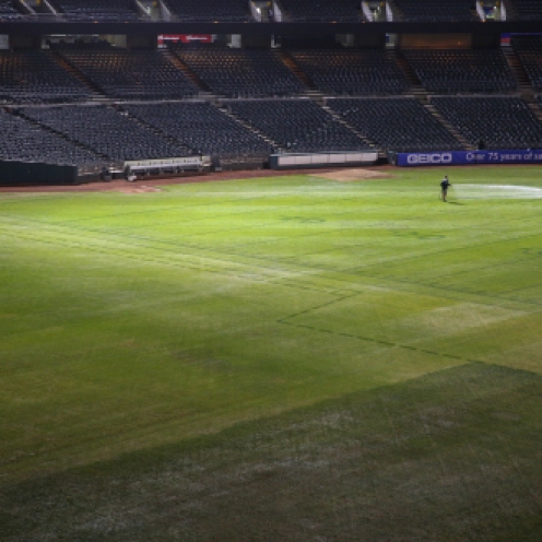 Oakland Coliseum head groundskeeper Clay Wood waters the grass behind first base at the Oakland Coliseum on Monday, August 31, 2015, after a baseball game between the Oakland Athletics and the Los Angeles Angels of Anaheim. The stadium’s turf endured a Raiders football game less than 24 hours prior to the start of the Athletics game.